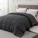 All Season Ultra Soft Fiber Machine Washable Quilted Duvet Insert with Corner Tabs Comforter