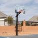 Lifetime Mammoth Height Adjustable Bolt Down Basketball Hoop (Tempered Glass Backboard) Tempered Glass/Aluminum in Black/White | Wayfair 90965