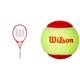 Wilson Tennisschläger Roger Federer 26, Für Kinder im Alter von 11-12 Jahren, AirLite-Legierung, Rot, WR054410H & Tennisbälle Starter Red für Kinder, gelb/rot, 3er Pack, WRT137001, 6