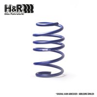 H&R 29017ha1 Hinterachse Image