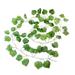 Artificial Plants Vine Evergreen Leaf Vines Wall Hanging Simulation Rattan Leaves Green Plant Ivy Leaf Plants Wedding Season Festival Decoration Garden Scene Layout Fake Plant Decor