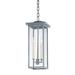 Troy Lighting F7520 Eden 3 Light 8 Wide Outdoor Taper Candle Multi Light Pendant -