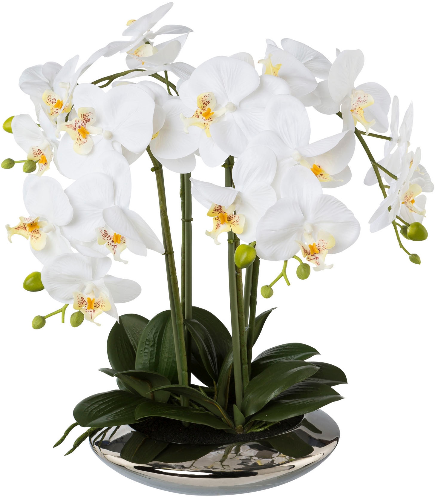 Kunstorchidee CREATIV GREEN "Deko-Orchidee Phalaenopsis in Keramikschale", weiß, B:28cm H:41cm T:30cm, Obermaterial: 95% Polyethylen, 5% Polyester, Kunstpflanzen Image