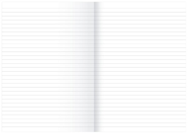 Kanzleibogen, LIN 21, 80g/qm, liniert, 250 Bogen, gefalzt A3 auf A4 Image