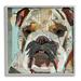 Stupell Industries Bulldog Pet Portrait Text Collage Framed Giclee Texturized Wall Art By Traci Anderson_aq-421 in Blue/Brown/Yellow | Wayfair