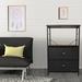 17 Stories 2 Drawer Chest Wood in Black | 34.3 H x 22 W x 12.2 D in | Wayfair C39473AB8D044D799ECAFD0C07803669