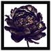 Oliver Gal Black Peony - Picture Frame Graphic Art Paper in Black/Gray/White | 26 H x 26 W x 0.8 D in | Wayfair 47118_24x24_PAPER_FLAT