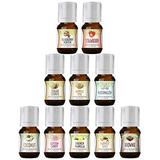 Good Essential Sweet Scents Fragrance Oil Set - 10 Pack Bulk Holiday Gift Oils for Aromatherapy Diffusers Candle and Soap Making - Vanilla Coconut Sugar Cookie Cotton Candy Fall Spice and More