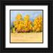 Borges Victoria 12x12 Black Ornate Wood Framed with Double Matting Museum Art Print Titled - Golden Aspen Trees I