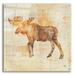 Epic Art Moose Study by Studio Mousseau Acrylic Glass Wall Art 36 x36