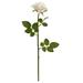 Nearly Natural 19in. Rose Spray Artificial Flower (Set of 12) Cream