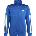 ADIDAS Kinder Sportanzug B TEAM TS, Größe 140 in Blau