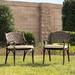 Harmon 2-Piece Outdoor Patio Dining Chairs with Cushions, Cast Aluminum