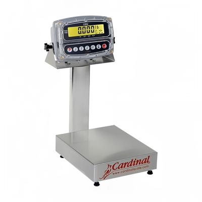 Detecto EB-300-190 Digital Bench Scale, LCD Display, lb/kg/g/oz, 300 x 1/10 lb, 24 x 20", Stainless Steel, 110/240 V