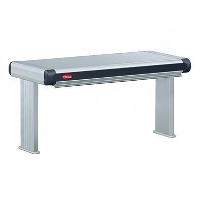 Hatco GR2A-18D3 208 21 1/2" Standard Watt Strip Warmer - Double Rod, Remote Control Required, 208v/1ph, Silver