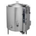 Groen AH/1E-60 60 gal Steam Kettle - Stationary, 2/3 Jacket, Natural Gas, Stainless Steel, Gas Type: NG