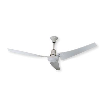 TPI E-60-CF 60" Industrial Ceiling Fan w/ 3 Blades - Steel, 120v, White