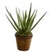 Nearly Natural Aloe Artificial Plant in Basket