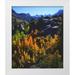 Talbot Frank Christopher 12x14 White Modern Wood Framed Museum Art Print Titled - CA Sierra Nevada Autumn of Aspen trees