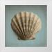 Jacks Heather 26x26 White Modern Wood Framed Museum Art Print Titled - Seashell Study II