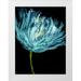 Austin Vanessa 15x18 White Modern Wood Framed Museum Art Print Titled - Aqua Tulips I
