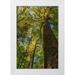 Mahan Kathy 13x18 White Modern Wood Framed Museum Art Print Titled - Tulip-Poplar Tree I