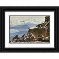 Illg Cathy and Gordon 32x23 Black Ornate Wood Framed with Double Matting Museum Art Print Titled - Colorado Mount Evans Mountain goat and scenery