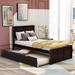 Twin Size Platform Storage Bed with Twin Size Trundle, Wood Bedroom Bedframe for Bedroom, Dorm, No Spring Box Required