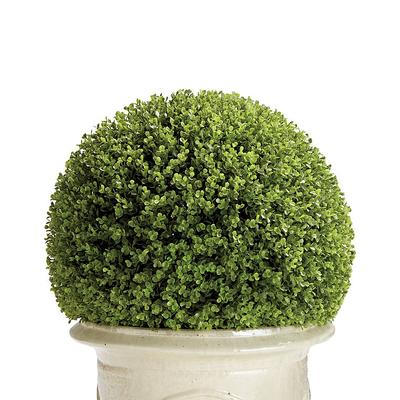 Boxwood Greenery Balls - 18