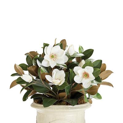 Magnolia Urn Filler - Frontgate