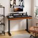 Eureka Ergonomic Height Adjust Electric Standing Desk Wood/Metal in White/Brown | 47 W x 24 D in | Wayfair WF-ED-I47-WN