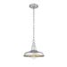 Breakwater Bay Filsaime 1 -Bulb 73.7" H Outdoor Hanging Lantern Metal/Steel in Gray | 73.7 H x 10.68 W x 10.68 D in | Wayfair