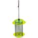 Birds Choice 6.5" Color Pop Collection Small Sunflower Seed Feeder Metal in Green/Indigo/Brown | 6.5 H x 5 W x 5 D in | Wayfair CPFF1-GL