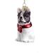 Kurt Adler French Bulldog Hanging Figurine Ornament, Glass in Black/Red/White | 3.5 H x 2 W in | Wayfair NB0900FB