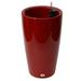 Wrought Studio™ Byrum Self Watering Plastic Pot Planter in Red | 21.7 H x 14 W x 14 D in | Wayfair 910870A635DA41D9B8ABDF43B49BA914