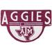 Texas A&M Aggies Shaped Coir Doormat