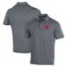 Men's Under Armour Gray Wittenberg University Tigers Performance Polo
