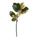 Nearly Natural 32â€� Golden Magnolia Leaf Artificial Stem (Set of 3)