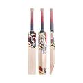 KOOKABURRA Beast 3.1 Cricket Bat - Red/Black/Yellow, Short Handle