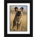 Zuckerman Jim 11x14 Black Ornate Wood Framed with Double Matting Museum Art Print Titled - Africa Namibia Wild dog close-up