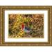 Jaynes Gallery 18x13 Gold Ornate Wood Framed with Double Matting Museum Art Print Titled - Brazil-Pantanal Red-crested cardinal