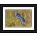 Jones Adam 32x23 Black Ornate Wood Framed with Double Matting Museum Art Print Titled - Blue jay flying