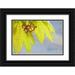 Paulson Don 14x11 Black Ornate Wood Framed with Double Matting Museum Art Print Titled - Washington Seabeck Flowering vine maple leaf