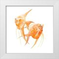 Scarvey Emma 26x26 White Modern Wood Framed Museum Art Print Titled - Discus Fish IV