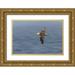 Jones Adam 18x13 Gold Ornate Wood Framed with Double Matting Museum Art Print Titled - Waved albatross flying-Espanola Island-Galapagos Islands-Ecuador