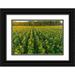 Day Richard and Susan 32x23 Black Ornate Wood Framed with Double Matting Museum Art Print Titled - Aerial view of a Sunflower field at sunrise-Jasper County-Illinois