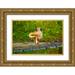 Friel Bernard 14x11 Gold Ornate Wood Framed with Double Matting Museum Art Print Titled - USA-Florida-Sarasota-Myakka River State Park-Preening Great Blue Heron