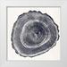 Vision Studio 15x15 White Modern Wood Framed Museum Art Print Titled - Tree Ring III