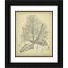 Curtis 20x24 Black Ornate Wood Framed with Double Matting Museum Art Print Titled - Vintage Curtis Botanical V