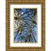 Bibikow Walter 23x32 Gold Ornate Wood Framed with Double Matting Museum Art Print Titled - Spain-Canary Islands-Gran Canaria Island-Maspalomas-palm tree canopy